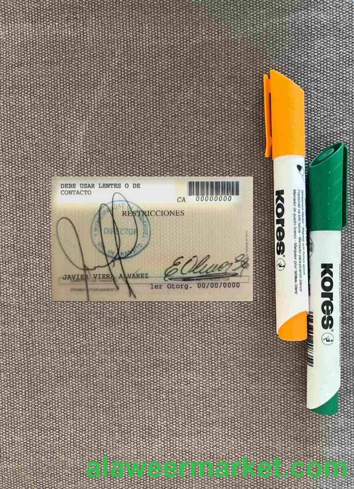 Chile licencia de conductor photolook BACK